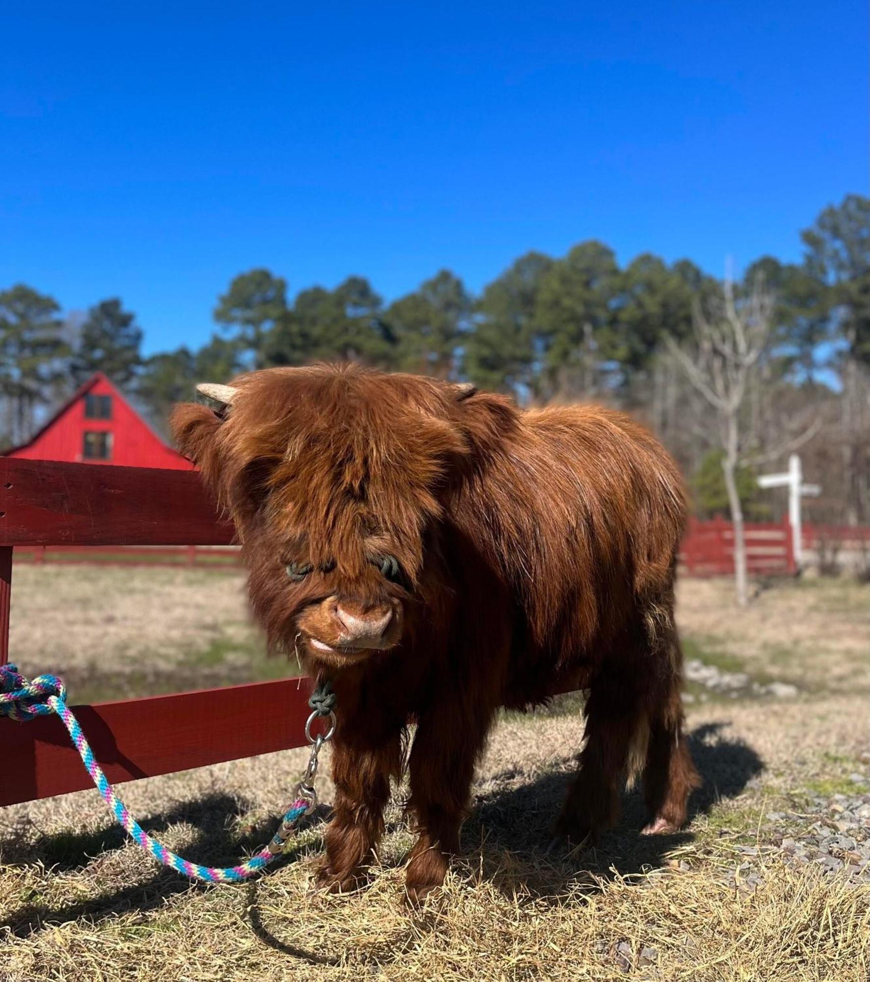 مبيت وإفطار Washington Coulter Farmstead المظهر الخارجي الصورة